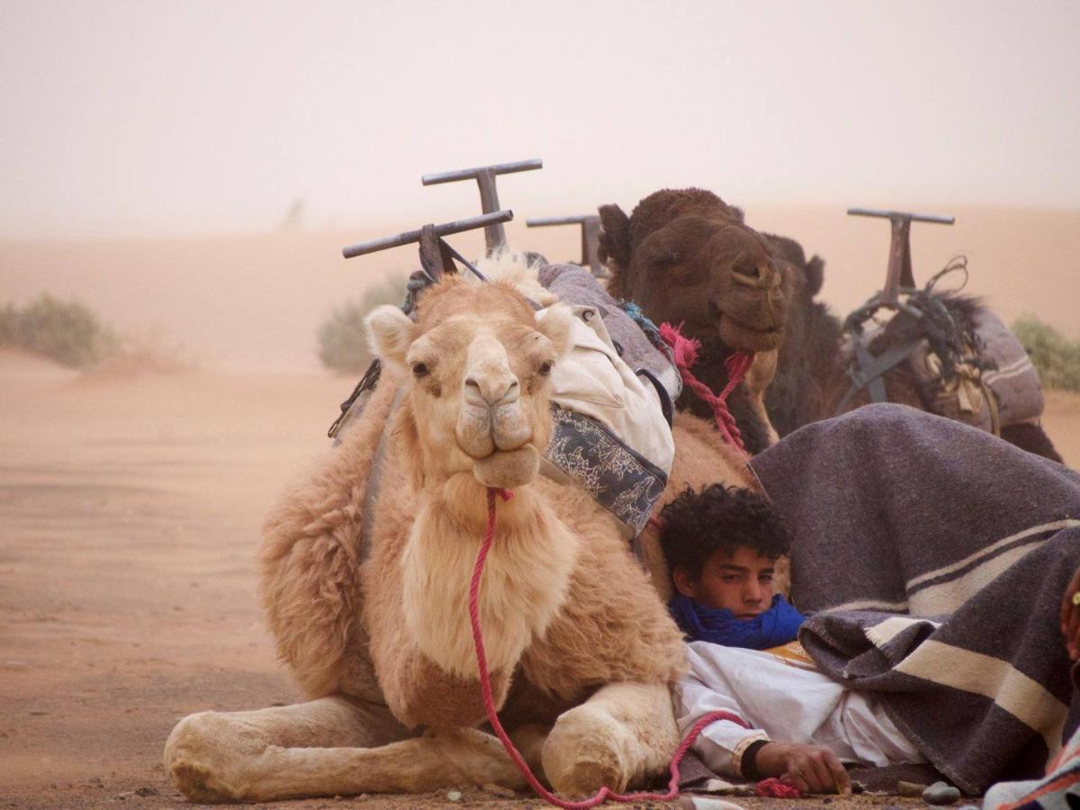 Kasbah Erg Chebbi Ξενοδοχείο Merzouga Εξωτερικό φωτογραφία