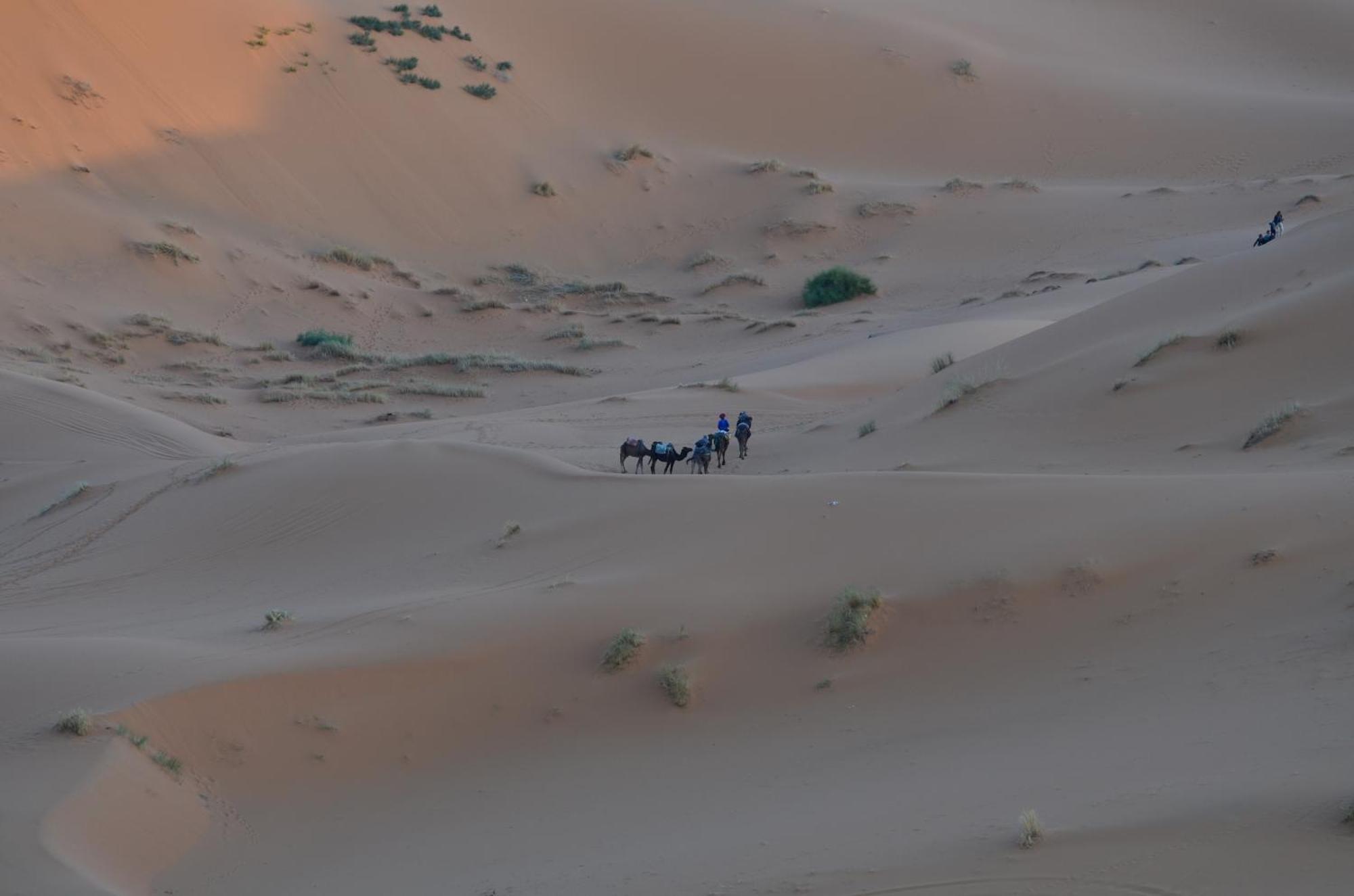 Kasbah Erg Chebbi Ξενοδοχείο Merzouga Εξωτερικό φωτογραφία